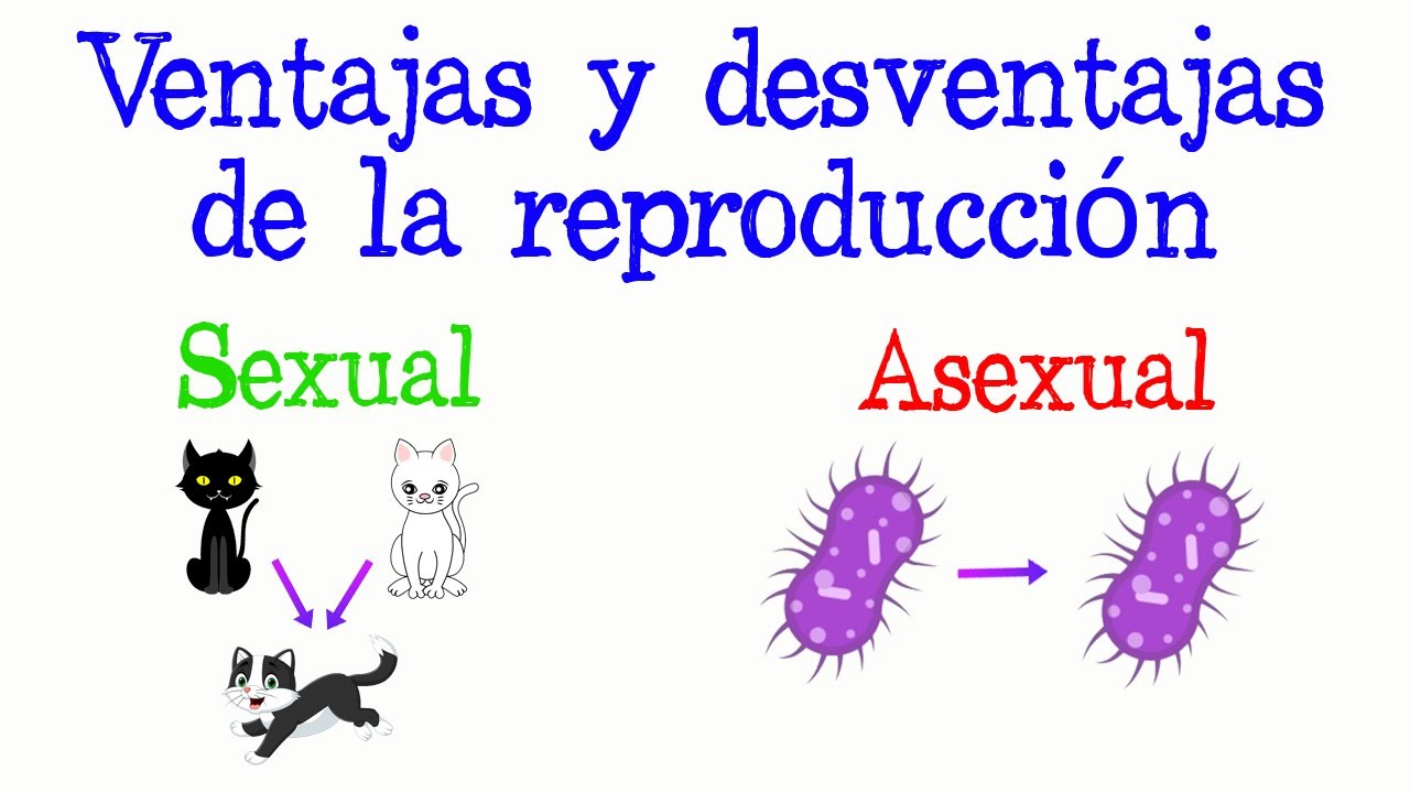 Pros Y Contras De La Reproducción Sexual Y Asexual